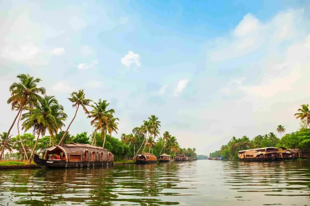 Why International Patients Choose Kerala for Dental Treatments